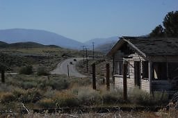 DSC 8202  scaled 256