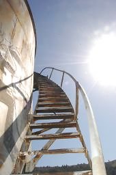 DSC 8196  scaled 256