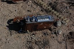 DSC 8190  scaled 256