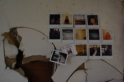 DSC 8182  scaled 256