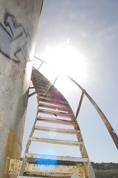 DSC 8194  scaled 256