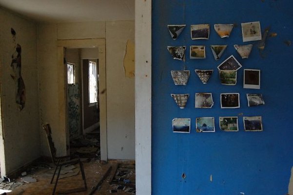 DSC 8184  scaled 640