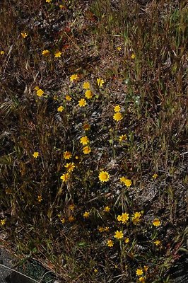 DSC 8203  scaled 640