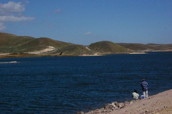 DSC 8166  scaled 640