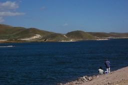 DSC 8166  scaled 256