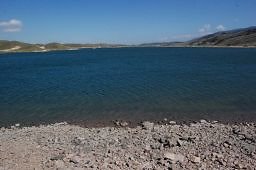 DSC 8169  scaled 256