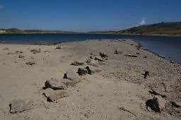 DSC 8174  scaled 256