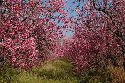 DSC 8213  scaled 400