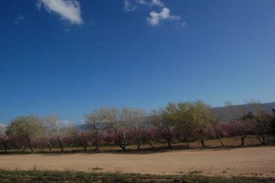 DSC 8244  scaled 400