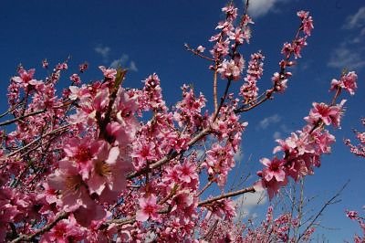 DSC 8222  scaled 400