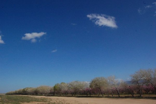 DSC 8245  scaled 640