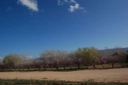 DSC 8244  scaled 256