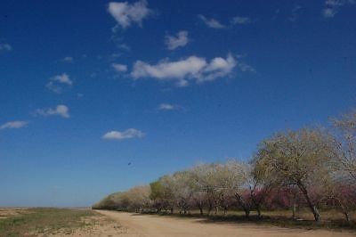 DSC 8240  scaled 400