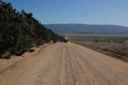 DSC 8210  scaled 256