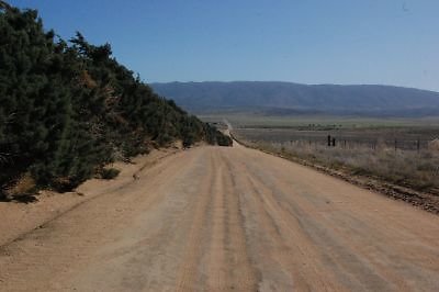 DSC 8210  scaled 400