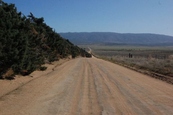 DSC 8210  scaled 640