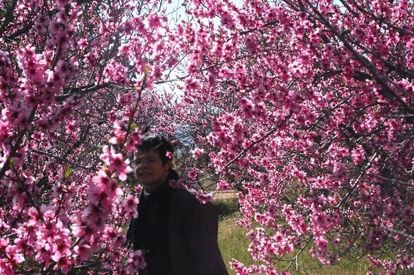 DSC 8217  scaled 640