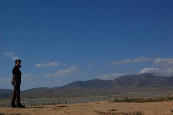 DSC 8243  scaled 640