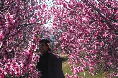 DSC 8217  scaled 400