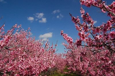 DSC 8220  scaled 400