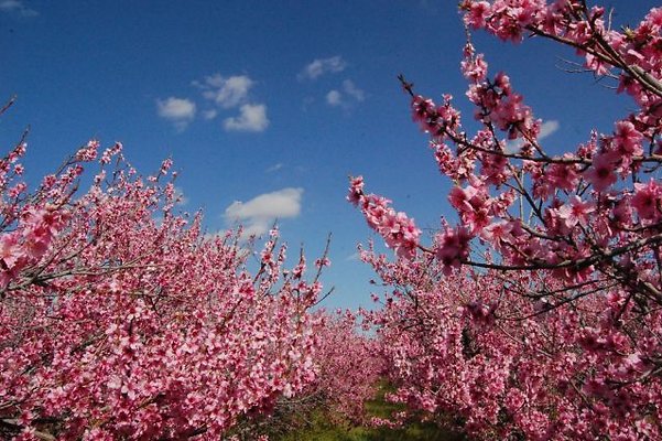 DSC 8220  scaled 640