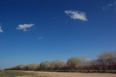 DSC 8245  scaled 400