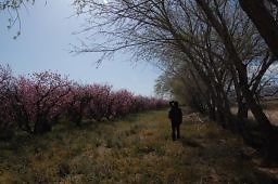 DSC 8239  scaled 256