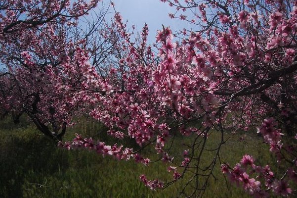 DSC 8218  scaled 640