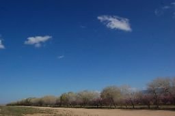 DSC 8245  scaled 256