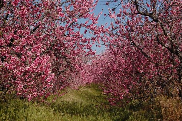 DSC 8213  scaled 640