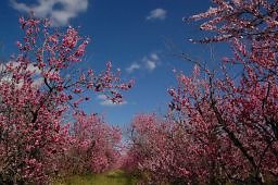 DSC 8211  scaled 256