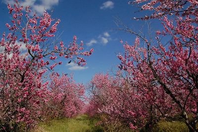 DSC 8212  scaled 400