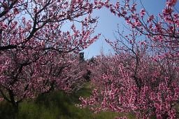 DSC 8219  scaled 256