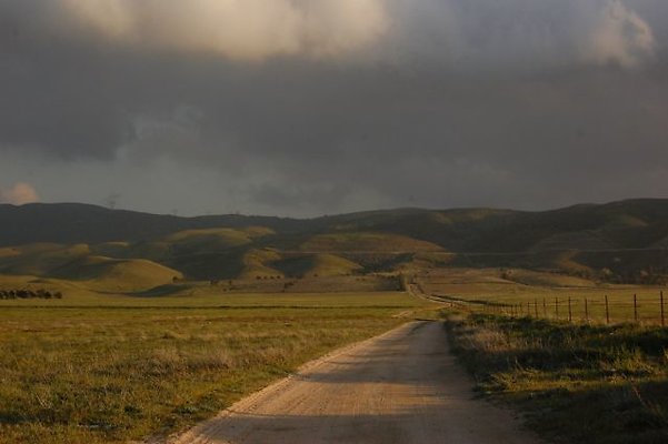 DSC 8289  scaled 640