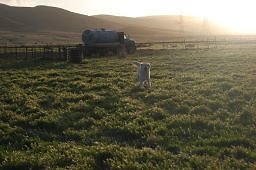 DSC 8292  scaled 256