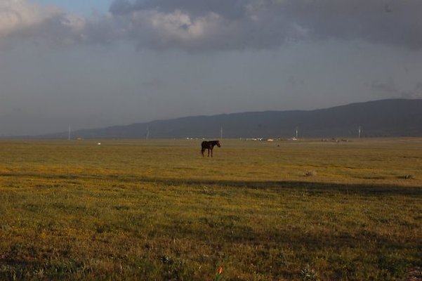 DSC 8286  scaled 640