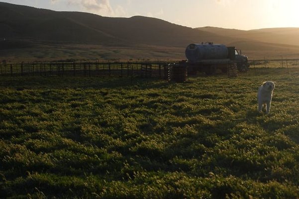 DSC 8293  scaled 640