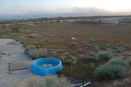 DSC 8299  scaled 256