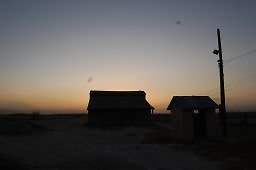 DSC 8313  scaled 256