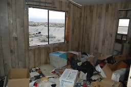 DSC 8306  scaled 256