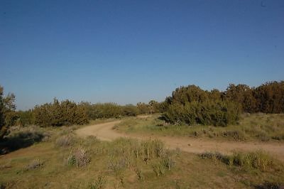 DSC 8252  scaled 400