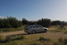 DSC 8251  scaled 256