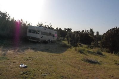 DSC 8255  scaled 400