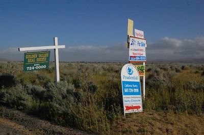 DSC 8250  scaled 400