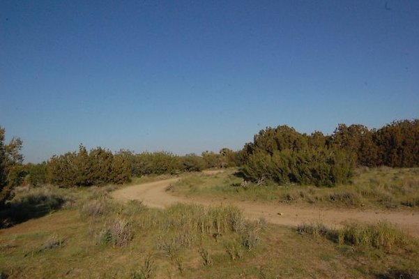 DSC 8252  scaled 640