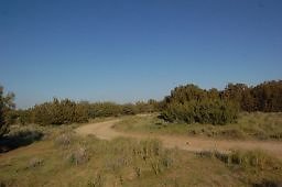 DSC 8252  scaled 256