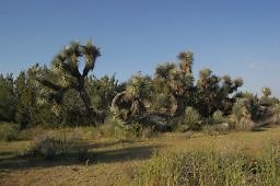 DSC 8254  scaled 256