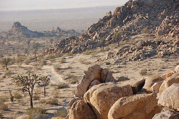 LANC 150th and M-8 a