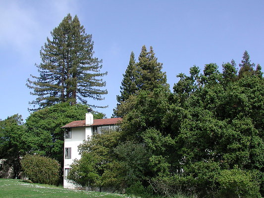 UCSC