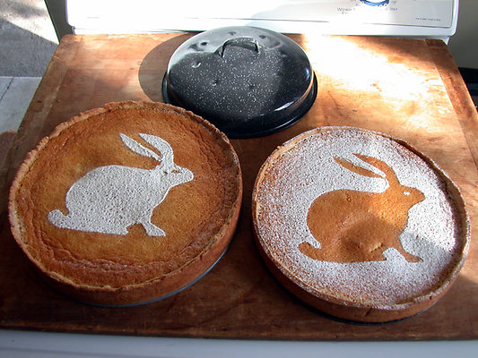 Rabbitd1 x Rabbitd1 x